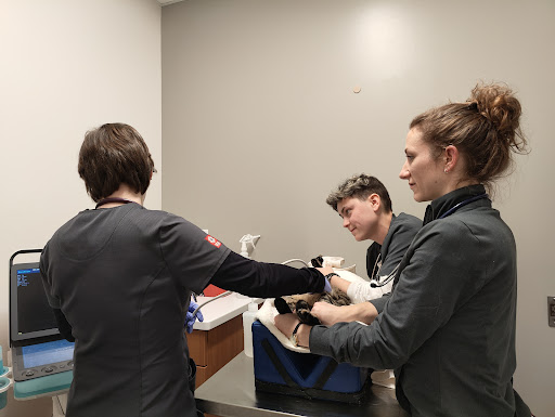 Veterinary Emergency Group image