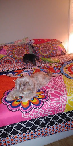 Supermarket «Walmart Neighborhood Market», reviews and photos, 9131 College Pkwy #101, Fort Myers, FL 33919, USA