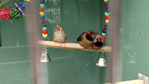 Pet Supply Store «Pet Supplies Plus», reviews and photos, 2424 W State St, Alliance, OH 44601, USA