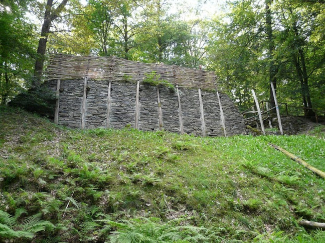 Beoordelingen van Le Cheslé de Bérismenil in Marche-en-Famenne - Museum