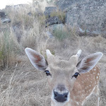 Photo n°1 de l'avis de Daniela.i fait le 05/08/2019 à 20:23 sur le  Olive Residence and Suites à Crato