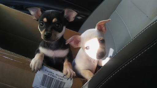 Discount Store «Dollar General», reviews and photos, 3007 Sugar Rd, Edinburg, TX 78539, USA