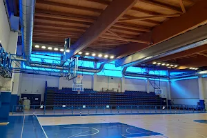 Pallacanestro Carugate image