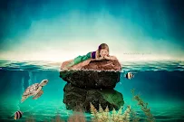 Michelle Vanlieshout Graphic Design & Photography, LLC. - Car repair in Green Bay, WI, Green Bay - Rated 5.0/5