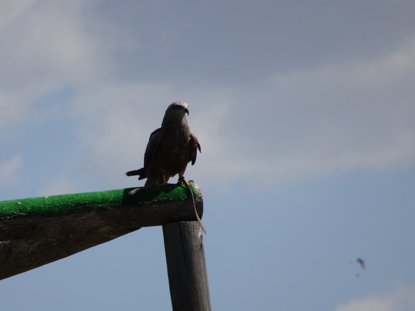 Photo n° 5 de l'avis de Romain.o fait le 17/08/2017 à 11:56