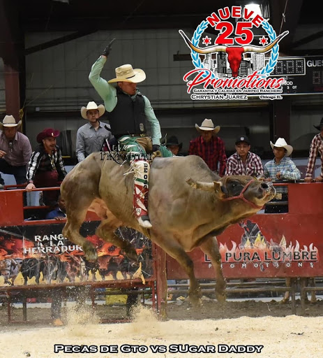 Gym «Planet Fitness - Lincolnwood, IL», reviews and photos, 6850 McCormick Blvd, Lincolnwood, IL 60712, USA