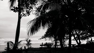 Photos of New Caribe Point