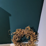 Photo n°33 de l'avis de Klaus.i fait le 04/07/2022 à 10:52 sur le  Westerwald-Brauerei à Hachenburg