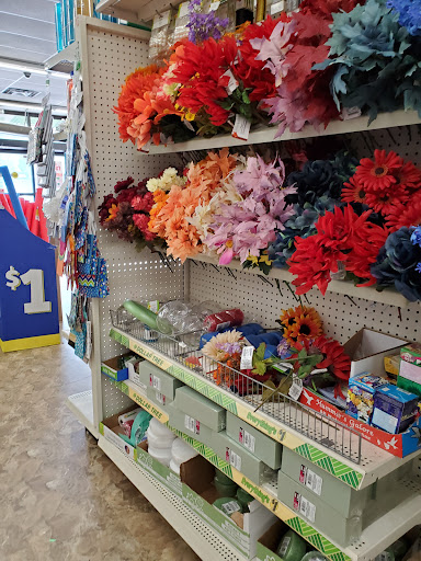 Dollar Store «Dollar Tree», reviews and photos, 217 Glen St, Glen Cove, NY 11542, USA