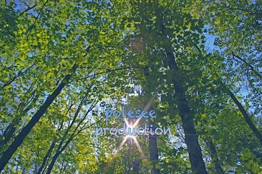 Polesee Production Wedding Videography