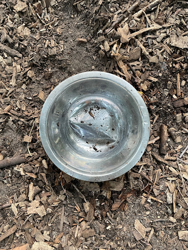 Park «Lake of the Isles Dog Park», reviews and photos, 2845 W Lake of the Isles Pkwy, Minneapolis, MN 55405, USA