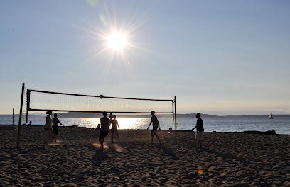AVA (Alki Volleyball Association) Beach Volleyball