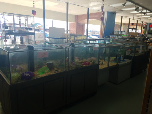 Pet Store «Wet Pets N Critters», reviews and photos, 103 TX-281 Loop, Longview, TX 75605, USA