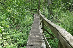 Ścieżka przyrodniczo-historyczna "Obóz Powstańczy" image