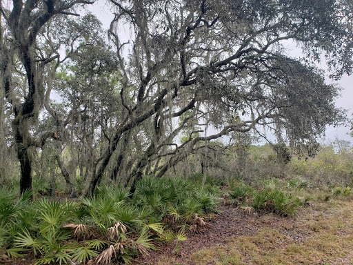 Nature Preserve «Conner Preserve», reviews and photos, 22500 FL-52, Land O Lakes, FL 34637, USA