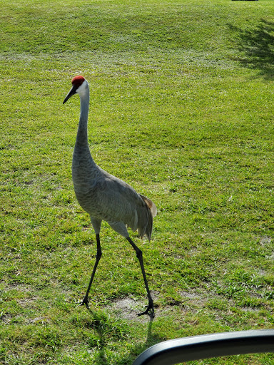 Golf Course «Indian Hills Golf Course», reviews and photos, 1600 S 3rd St, Fort Pierce, FL 34950, USA