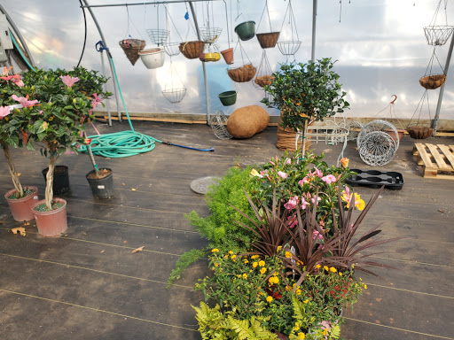 Garden Center «Beachside Gardens & Gifts», reviews and photos, 3725 US-12, Michigan City, IN 46360, USA