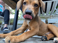 Your Best Friend Pet Supply - Photo 6 - Car repair in Chicago, IL, Chicago