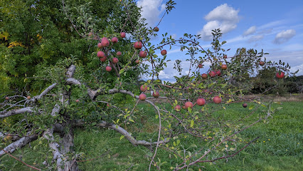 Kiralys Orchard