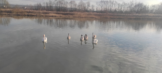 Parcul Ștrand - Pitești