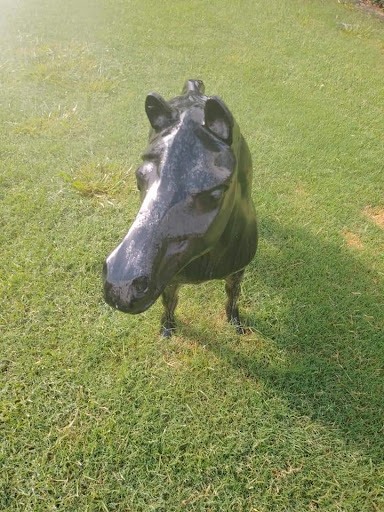 Park «Forney Community Park», reviews and photos, 241 S Farm to Market 548, Forney, TX 75126, USA