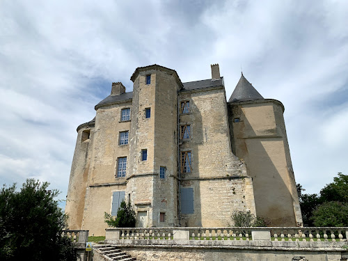 Château et parc de Buzet-sur-Baïse à Buzet-sur-Baïse