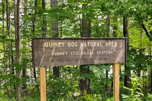 Quincy Bog Natural Area image