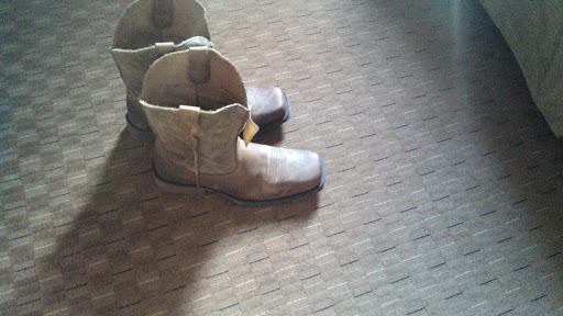 Ariat´s