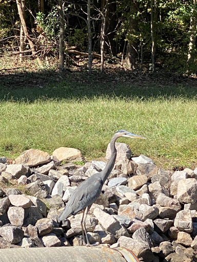 Community Center «Bond Park Community Center», reviews and photos, 801 High House Rd, Cary, NC 27513, USA