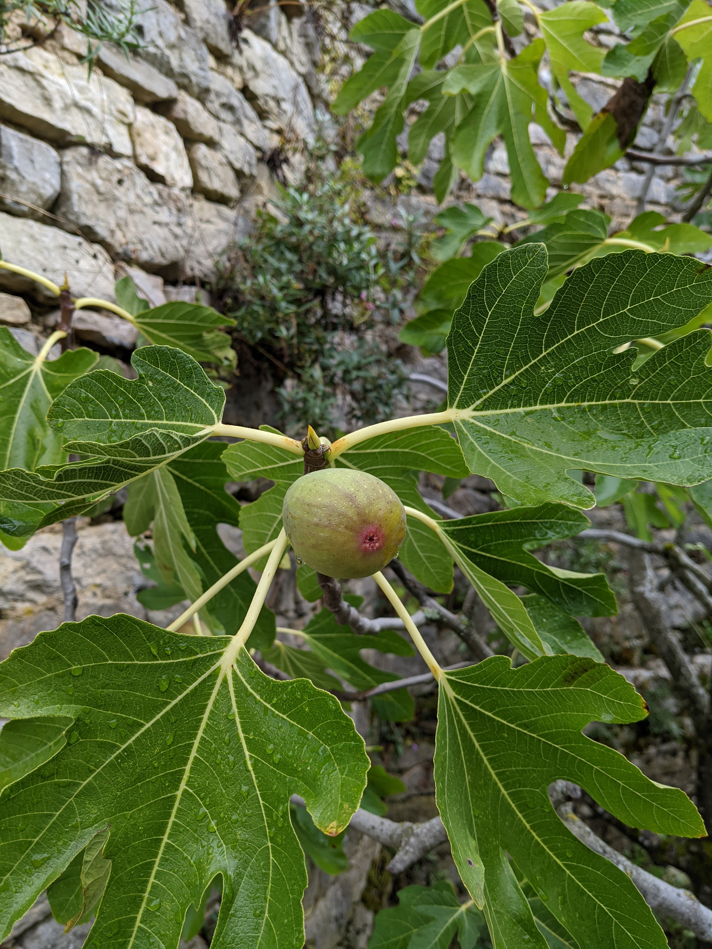Photo n° 20 de l'avis de Jean-Michel.U fait le 03/10/2020 à 17:17