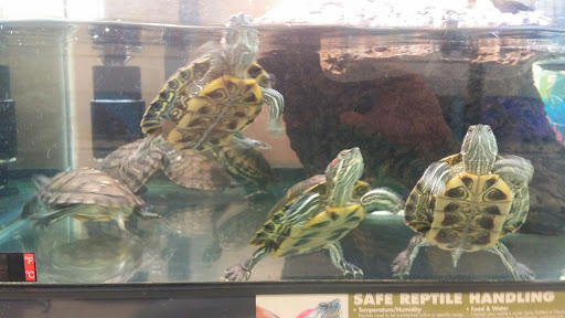 Pet Supply Store «Petco Animal Supplies», reviews and photos, 1820a W Uintah St, Colorado Springs, CO 80904, USA