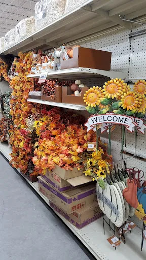 Discount Store «Big Lots», reviews and photos, 3333 Preston Rd #700, Frisco, TX 75034, USA