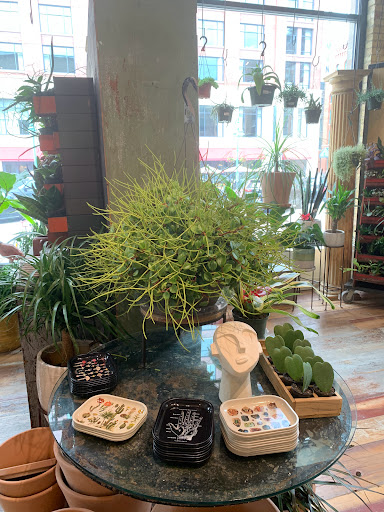 General Store «MOD GEN - A Modern General Store», reviews and photos, 211 N Broadway, Milwaukee, WI 53202, USA