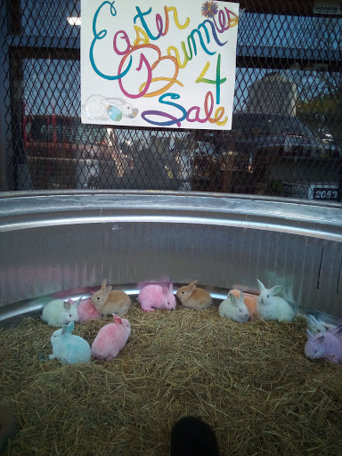 Daniel Feed & Farm Supply