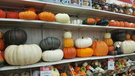 Craft Store «Michaels», reviews and photos, 2155 Zumbehl Rd, St Charles, MO 63303, USA