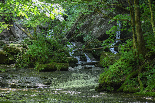 Park «Cave River Valley Park», reviews and photos, 6031-6871 N Cave River Valley Rd, Campbellsburg, IN 47108, USA