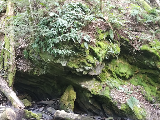 Tourist Attraction «Dover Stone Church», reviews and photos, 3128 NY-22, Dover Plains, NY 12522, USA