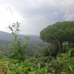 Photo n°7 de l'avis de vincenzo.i fait le 07/08/2018 à 11:32 sur le  Agriturismo I Fornari à Stella Cilento