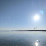 Photo n°1 de l'avis de Dominik.o fait le 14/02/2022 à 11:34 sur le  Seehaus Schreyegg - Restaurant - Biergarten à Inning am Ammersee