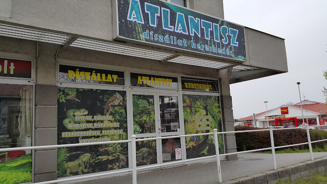 Atlantisz Díszállat Kereskedés - Bolt