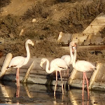 Photo n°4 de l'avis de Marco.o fait le 11/01/2024 à 12:30 sur le  Antica Hostaria à Cagliari