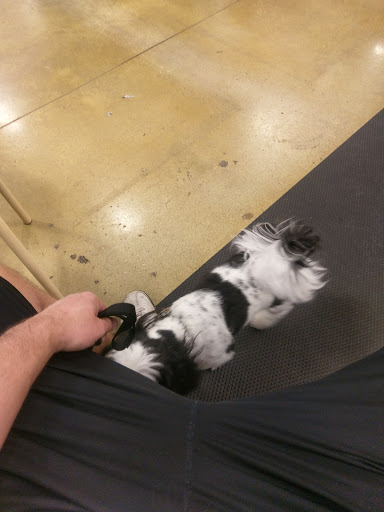 Pet Supply Store «PetSmart», reviews and photos, 11132 Abercorn St, Savannah, GA 31419, USA