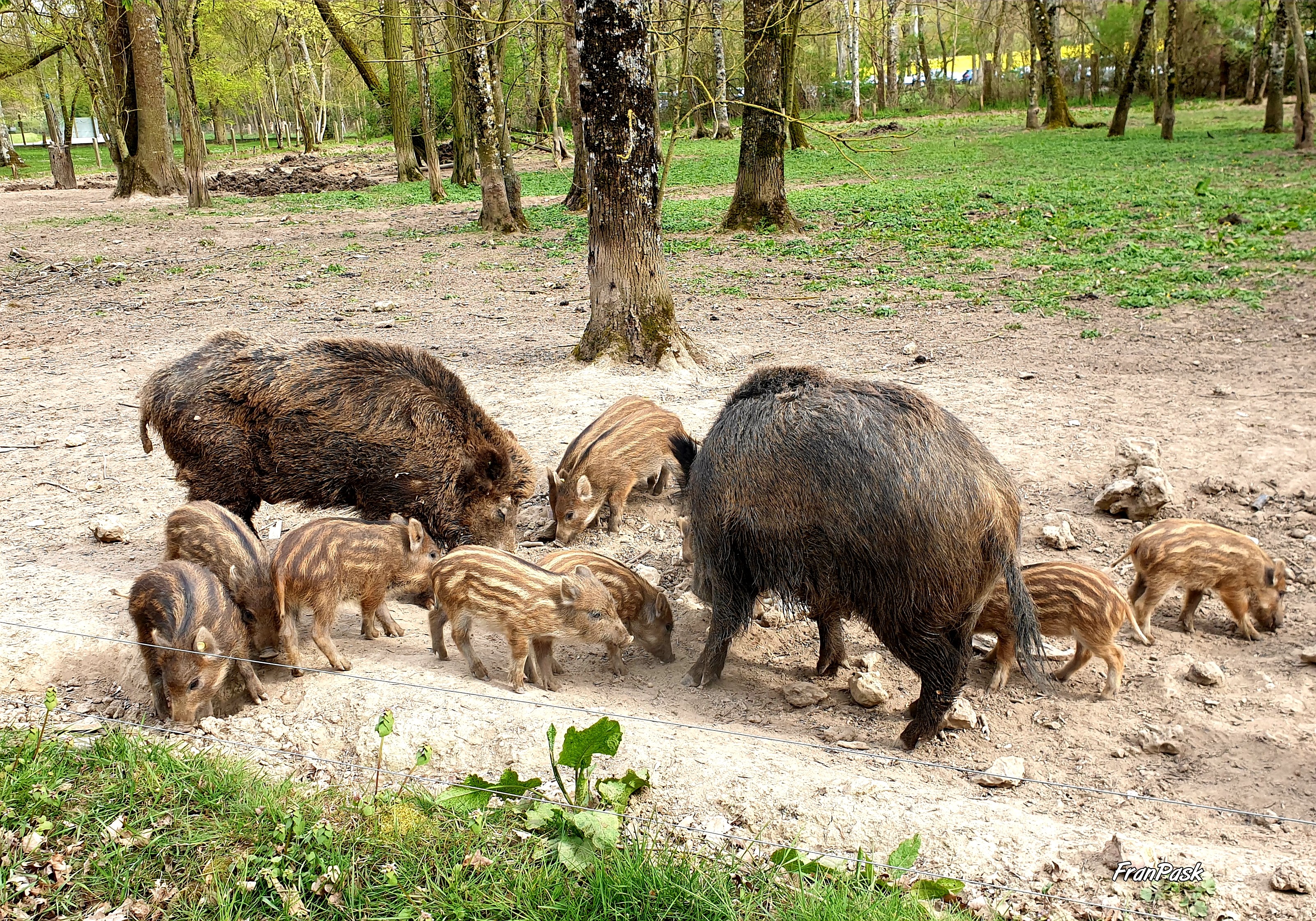 Photo n° 4 de l'avis de Frane.a fait le 15/04/2019 à 16:06