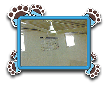 Pet Store «AA Ridgewood Kennels II», reviews and photos, 5401 Lincoln Hwy, Gap, PA 17527, USA