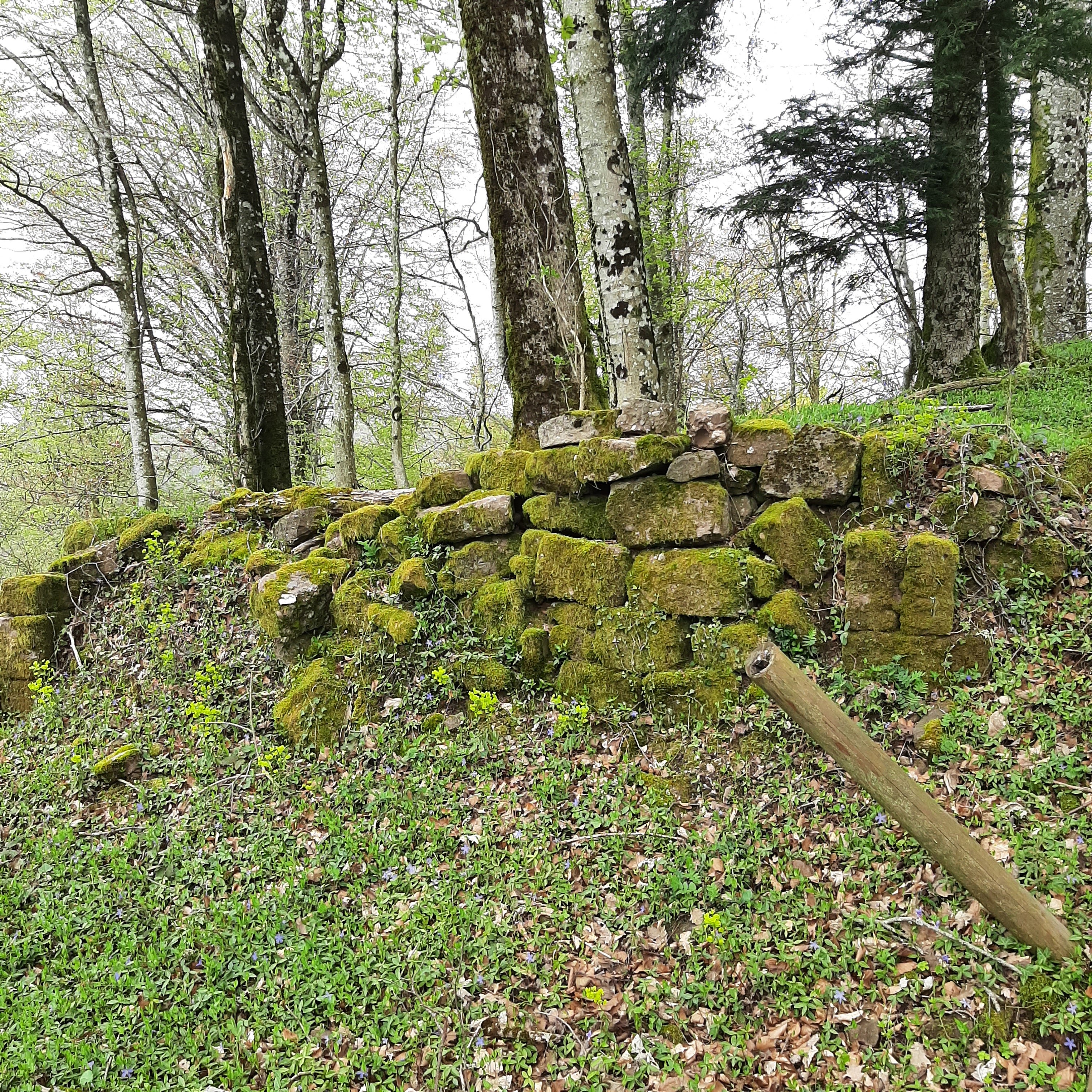 Photo n° 4 de l'avis de Hermeticum.u fait le 23/04/2023 à 13:48