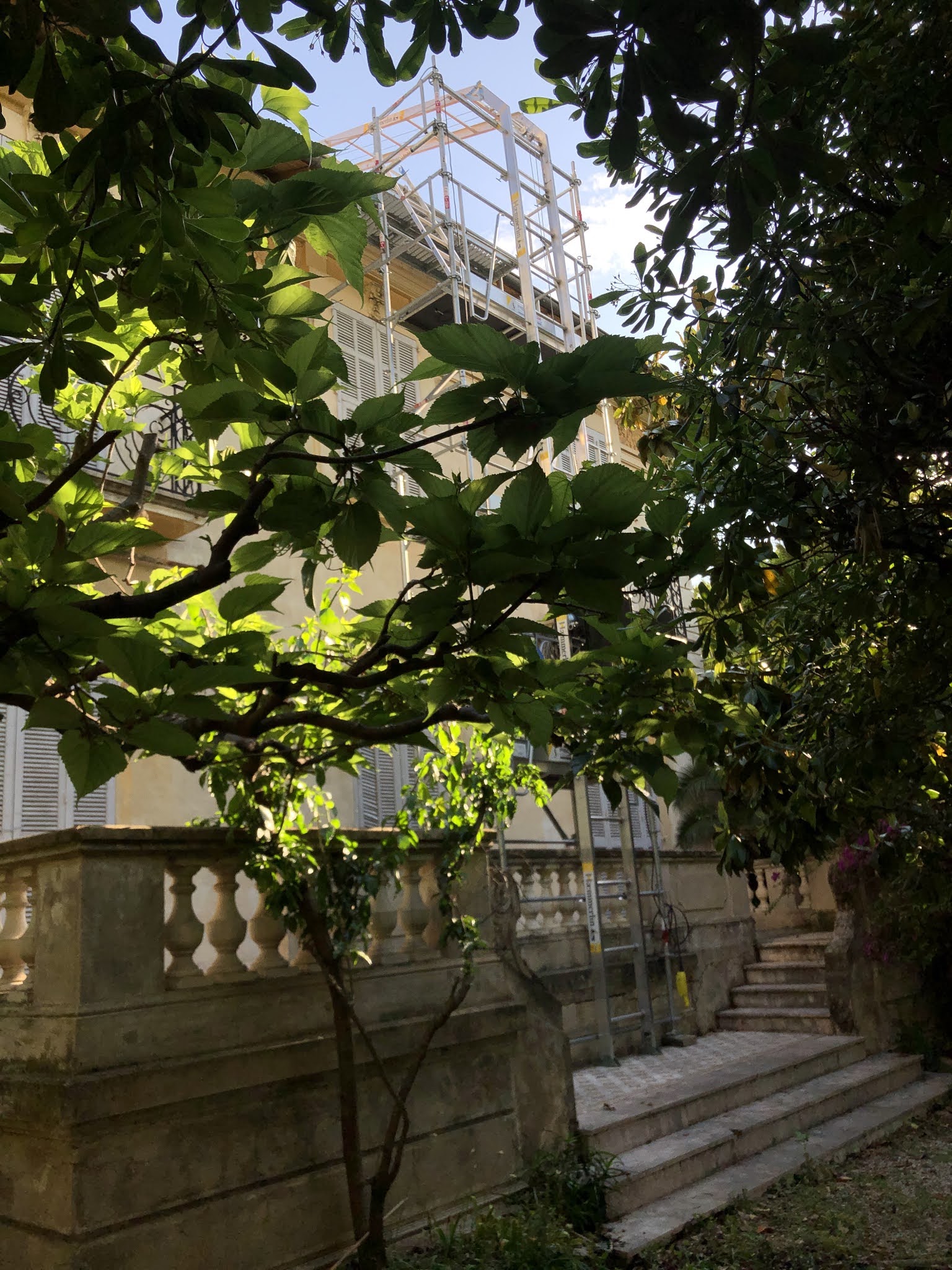 Photo n° 1 de l'avis de Benjamin.a fait le 22/06/2020 à 18:48