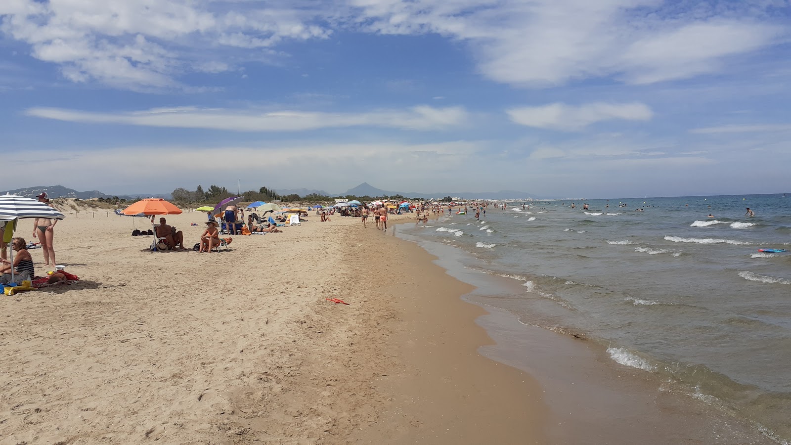 Playa Oliva Nova photo #6