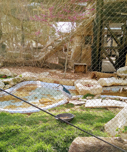 Zoo «Kansas Wildlife Exhibit», reviews and photos, 600-630 Nims N, Wichita, KS 67203, USA