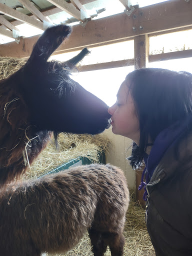 Farm «Dakota Ridge Farm», reviews and photos, 189 E High St, Ballston Spa, NY 12020, USA