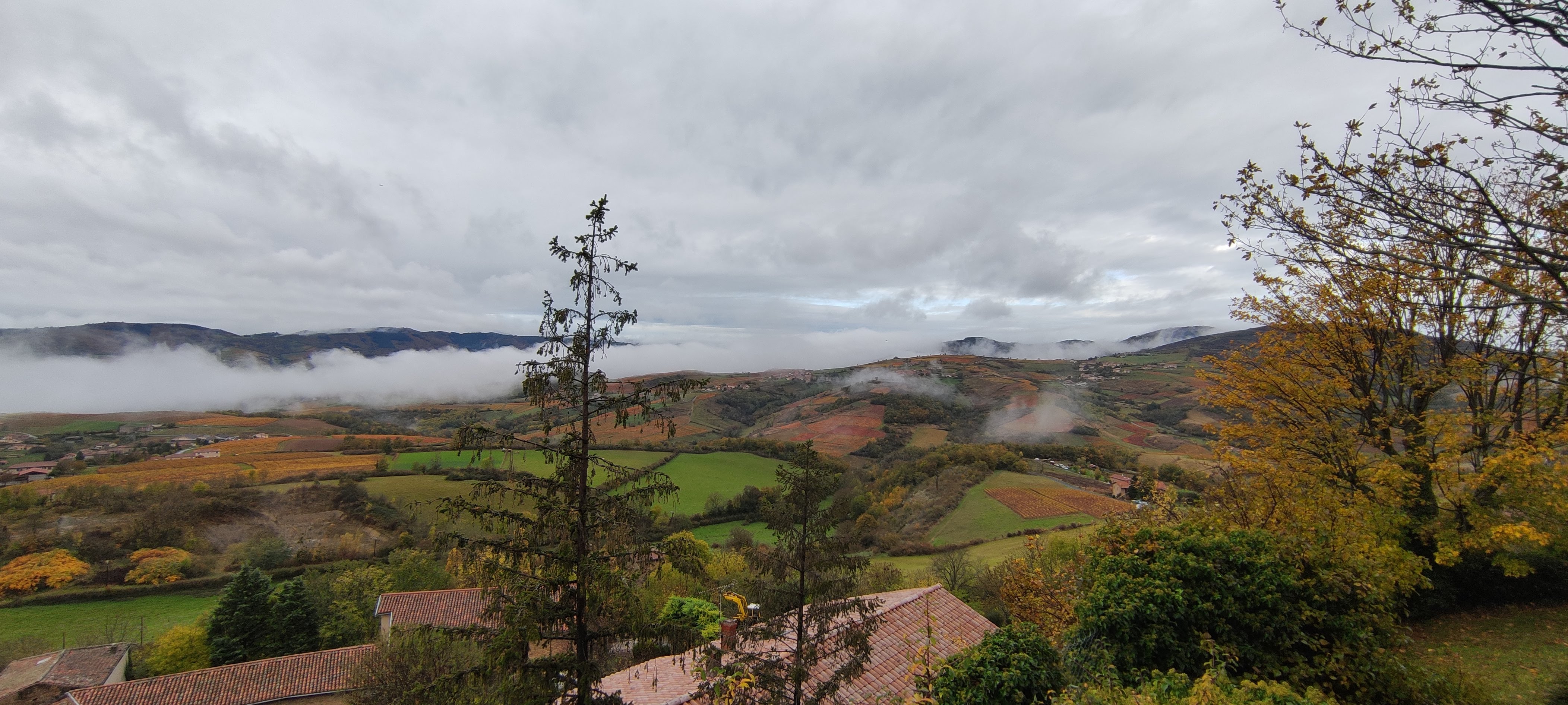 Photo n° 14 de l'avis de Anthony.a fait le 01/11/2021 à 16:22